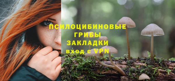 прущий лед Арсеньев