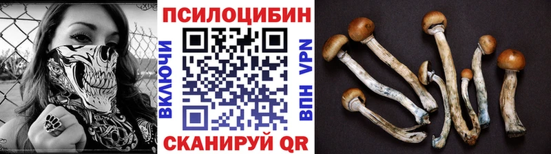 блэк спрут tor  Георгиевск  Псилоцибиновые грибы Magic Shrooms 